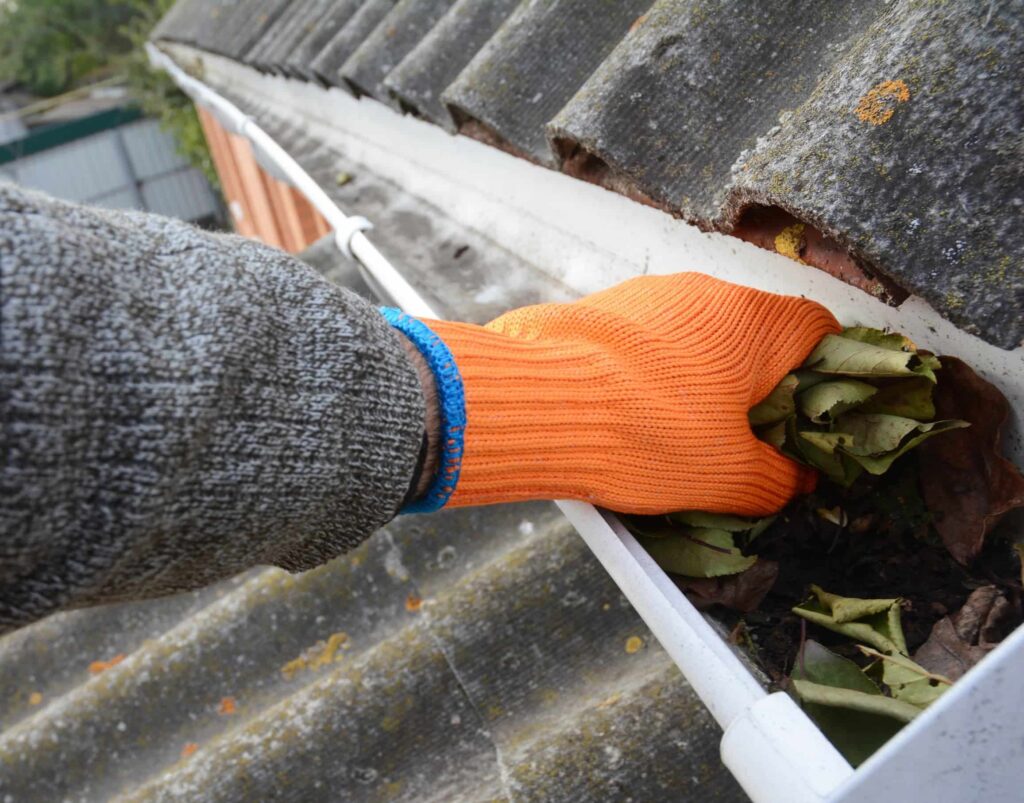 New Braunfels, TX Park Gutter Washing Near Me